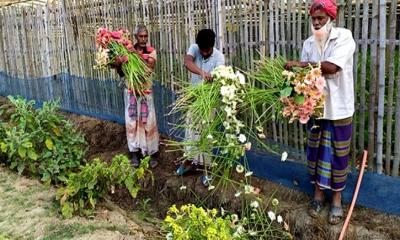 করোনার দ্বিতীয় ঢেউয়ে ফুলচাষিদের দুরবস্থা