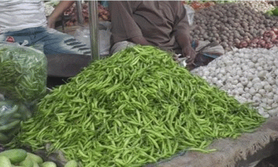 হিলি স্থলবন্দরে কাচা মরিচের দাম বেড়েছে কেজিতে ১২ টাকা 