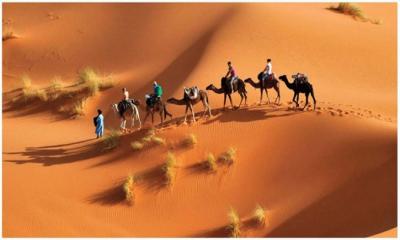 মিলাদুন্নবী (সা.) ও সিরাতুন্নবী (সা.)