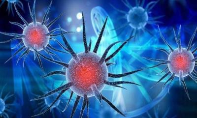 ভারতেও মিললো করোনার নতুন রূপ