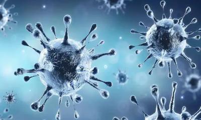 দেশে আরও তিনজনের শরীরে ভারতীয় ভ্যারিয়েন্ট শনাক্ত