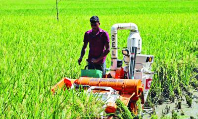 Noodatiy mushukchali qiz