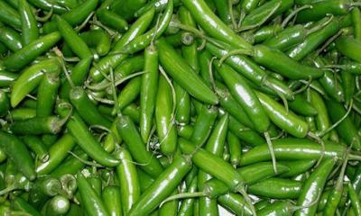 কাঁচা মরিচের ‘ডাবল সেঞ্চুরি’  