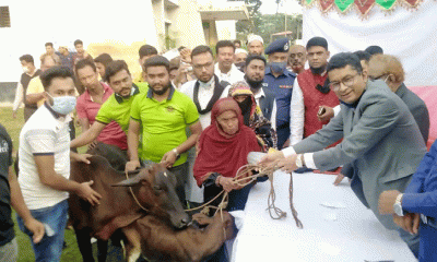সেনবাগে ভিক্ষুকদের মাঝে গরু বিতরণ