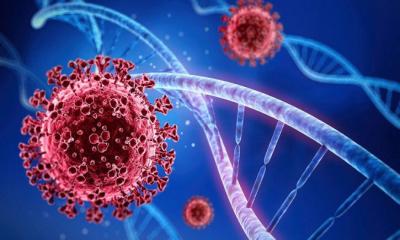 ওমিক্রন প্রতিরোধে নেই প্রস্তুতি!