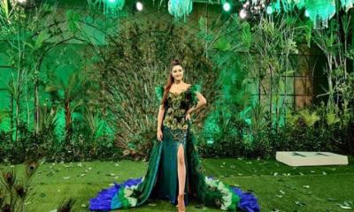 ময়ূরের পালকে ঢাকা পরী (ভিডিও)