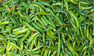 সপ্তাহের ব্যবধানে কাঁচা মরিচের দাম বেড়েছে ৩ গুন