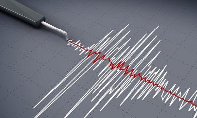 ভূমিকম্পে কেঁপে উঠল দেশ