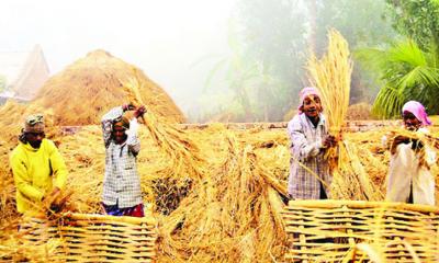 হেমন্ত, অগ্রহায়ণ, নবান্ন এবং কৃষি অর্থনীতি