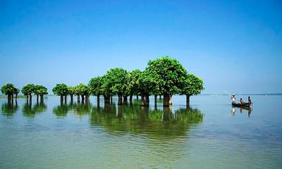 বায়োডিজেলের সম্ভাবনা