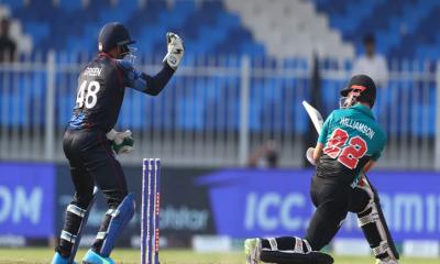 নিউজিল্যান্ডকে শঙ্কায় ফেলতে নামিবিয়ার চাই ১৬৪ 