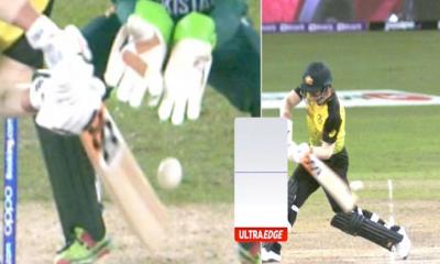 ওয়ার্নারের রিভিউ না নেওয়ার জন্য দায়ী ম্যাক্সওয়েল