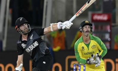 উইলিয়ামসন ঝড়ে নিউ জিল্যান্ডের বড় স্কোর