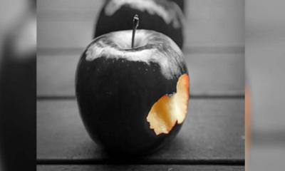একটা আপেলের দাম দেড় হাজার টাকা!
