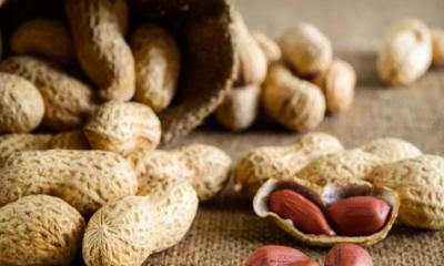 কাঁচা নাকি ভাজা, যে বাদামে উপকারিতা বেশি
