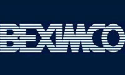 দর বাড়ার শীর্ষে যথারীতি বেক্সিমকো