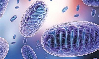 যুক্ত হলো কোভিডের নতুন উপসর্গ