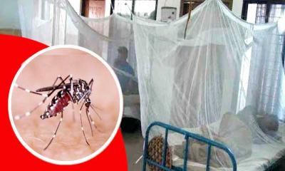 বাড়ছে ডেঙ্গু রোগী