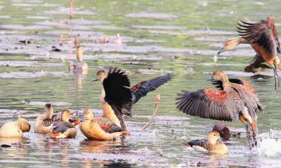 অতিথির আগমন, নিশ্চিত করতে হবে আপ্যায়ন