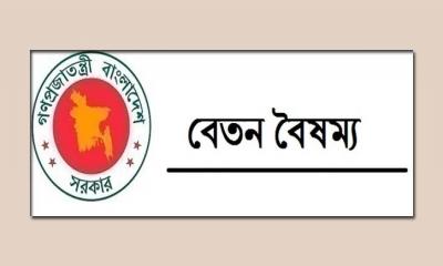 ‘বৈষম্যহীন সমাজ গঠনের জন্য দেশটা স্বাধীন হয়েছিল’