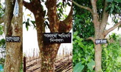 সকালে ওঠে এলাকাবাসী দেখলো গাছে গাছে ঝুলছে হাদিসের বাণী