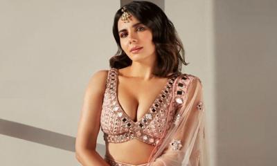 ‘পাবলিক ফিগার শব্দের অর্থ আমি জানি’