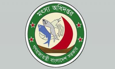 মৎস্য অধিদপ্তরের ২৩৪ জন কর্মচারীর জন্য সুখবর