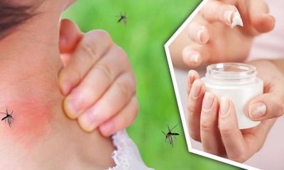 মশা তাড়ানোর ক্রিম তৈরি করুন ঘরেই