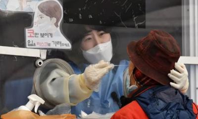 ওমিক্রন নিয়ে স্বস্তির খবর দিলো নতুন দুই গবেষণা