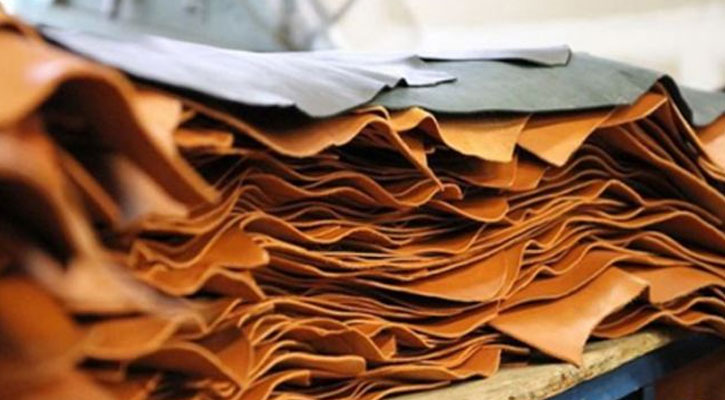 চামড়া রপ্তানিতে সম্ভাবনা