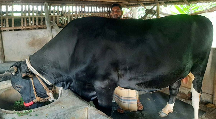 সবার নজর কাড়ছে ‘বাহাদুর’