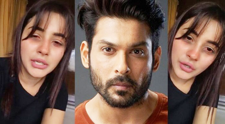 শোকে পাগলপ্রায় শেহনাজ, ছেড়েছেন খাওয়া-ঘুম