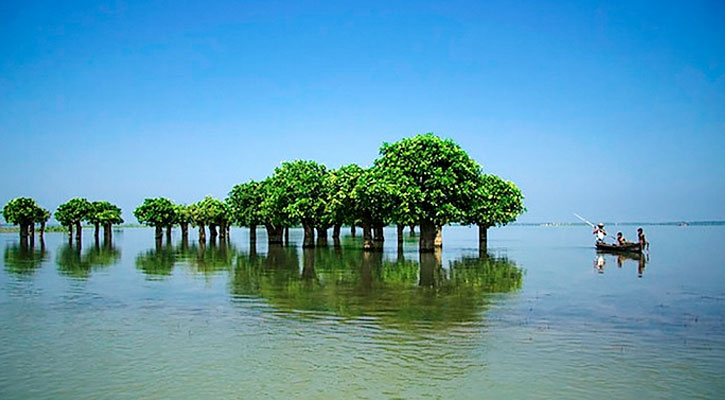 বায়োডিজেলের সম্ভাবনা