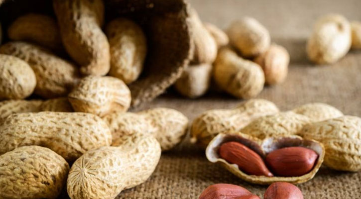 কাঁচা নাকি ভাজা, যে বাদামে উপকারিতা বেশি