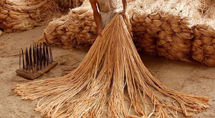 পাট ও পাটজাত পণ্যের রপ্তানি আয় বেড়েছে ৪০ শতাংশ