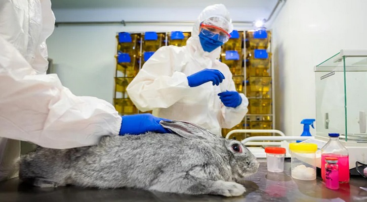 তৈরি হয়েছে পশুপাখির করোনা টিকা