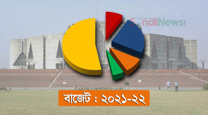 বাজেটে কোন খাতে কত বরাদ্দ পেল