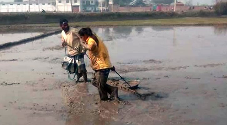 বাবার সঙ্গে কৃষিকাজ করছেন ক্রিকেটার মারুফা