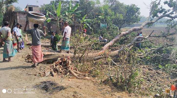 অবৈধভাবে সরকারি গাছ কাটার অভিযোগ
