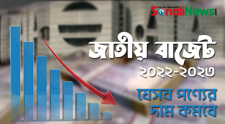 বাজেটে দাম কমতে পারে যেসব পণ্যের