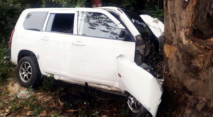 গাছে মাইক্রোবাসের ধাক্কায় প্রাণ গেলো আপন দুই ভাইয়ের