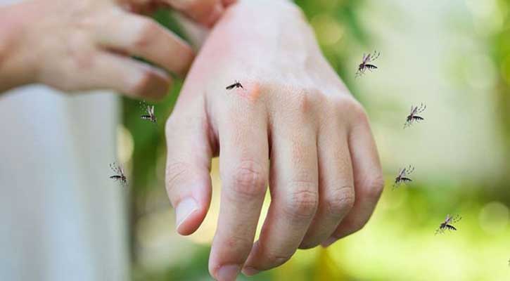 যে রঙের কাপড় দেখে দূরে পালায় মশা