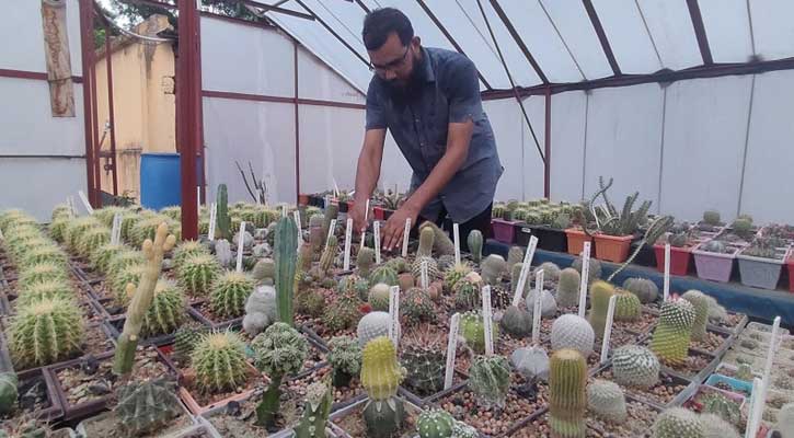 ক্যাকটাস চাষে সার্জেন্ট রাসেলের সাফল্য