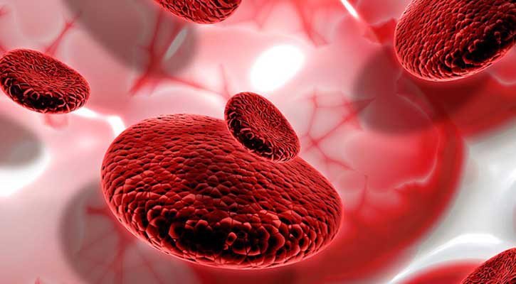 বাহকে বাহকে বিয়ে বন্ধই প্রতিরোধের উপায়