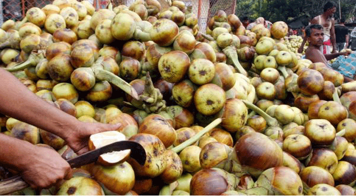 সোনারগাঁয়ে জমে উঠেছে তালের বাজার