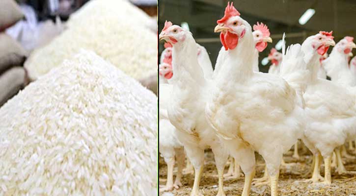 দাম বেড়েছে চালের, কমেছে মুরগির