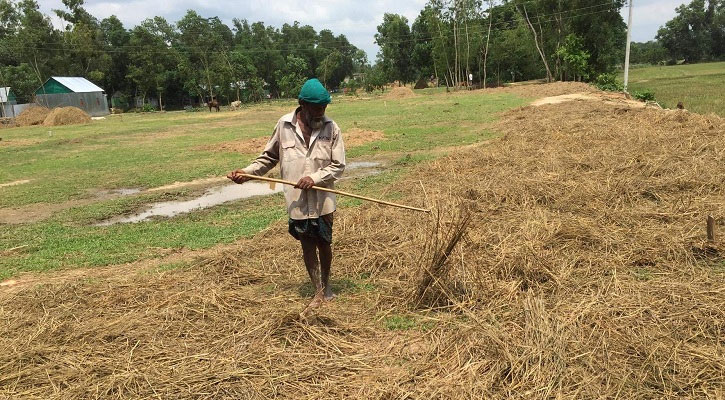 খড় শুকাতে ভরসা বাঁশকুঠা