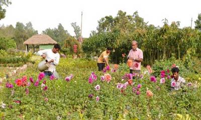 অর্থনীতিতে ছড়িয়ে পড়ুক ফুলের সৌরভ