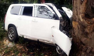 গাছে মাইক্রোবাসের ধাক্কায় প্রাণ গেলো আপন দুই ভাইয়ের