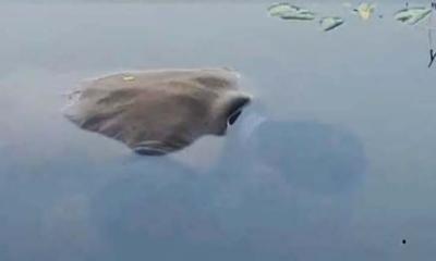 নির্বাচনের ৩দিন পর মেম্বার প্রার্থীর মরদেহ মিলল মাছের প্রজেক্টে